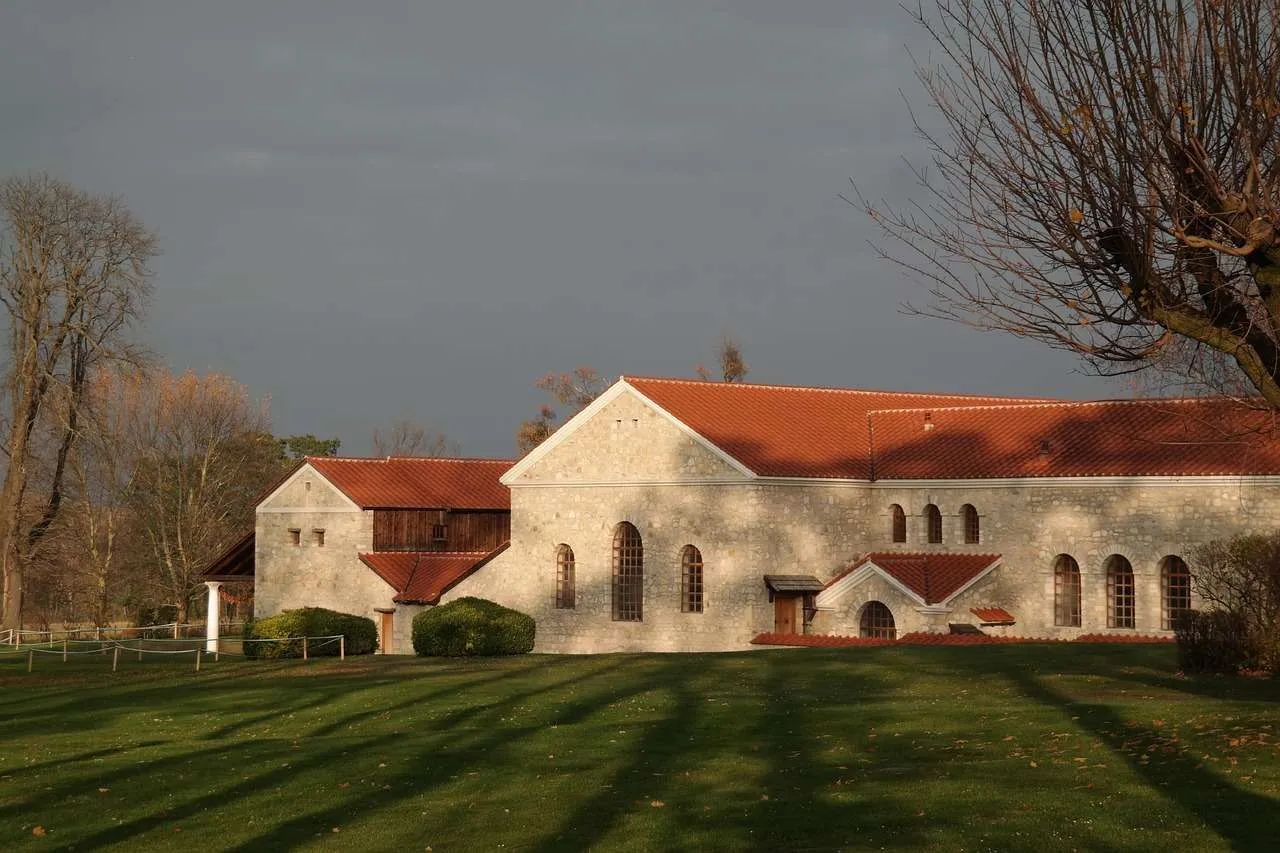 Roofing and Roof Repairs: Expert Guidance for Homeowners